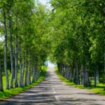 音更町の宿泊割引「おとふけ割」概要と予約/利用方法