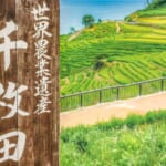 最大半額の「わじまに泊まろうキャンペーン」概要と予約/利用方法