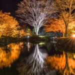 「泊まってお得！！商品券プレゼント」概要と予約/利用方法