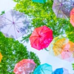 「かんらで泊まってお得なクーポン券」概要と予約/利用方法