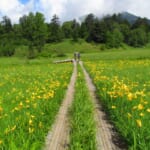 「かたしなで泊まってお得な商品券」概要と予約/利用方法