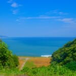 「若者向けGoToやいづキャンペーン」概要と予約/利用方法