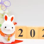 2023年も全国旅行支援の延長決定、ただ割引率が大幅減に